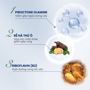 Thành phần dầu gội Santal 300 tự nhiên lành tính