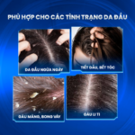 Combo làm sạch gàu ngứa – HỖ TRỢ GIẢM GÀU NGỨA VÀ GỘI HÀNG NGÀY