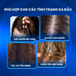 Combo làm sạch gàu và mượt tóc [PHIÊN BẢN CŨ]