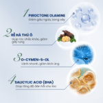 Combo sạch gàu ngứa hỗ trợ giảm da bong tróc [PHIÊN BẢN CŨ]